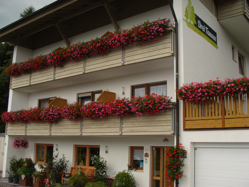 Hotel Drei Tannen Bodenmais Zewnętrze zdjęcie